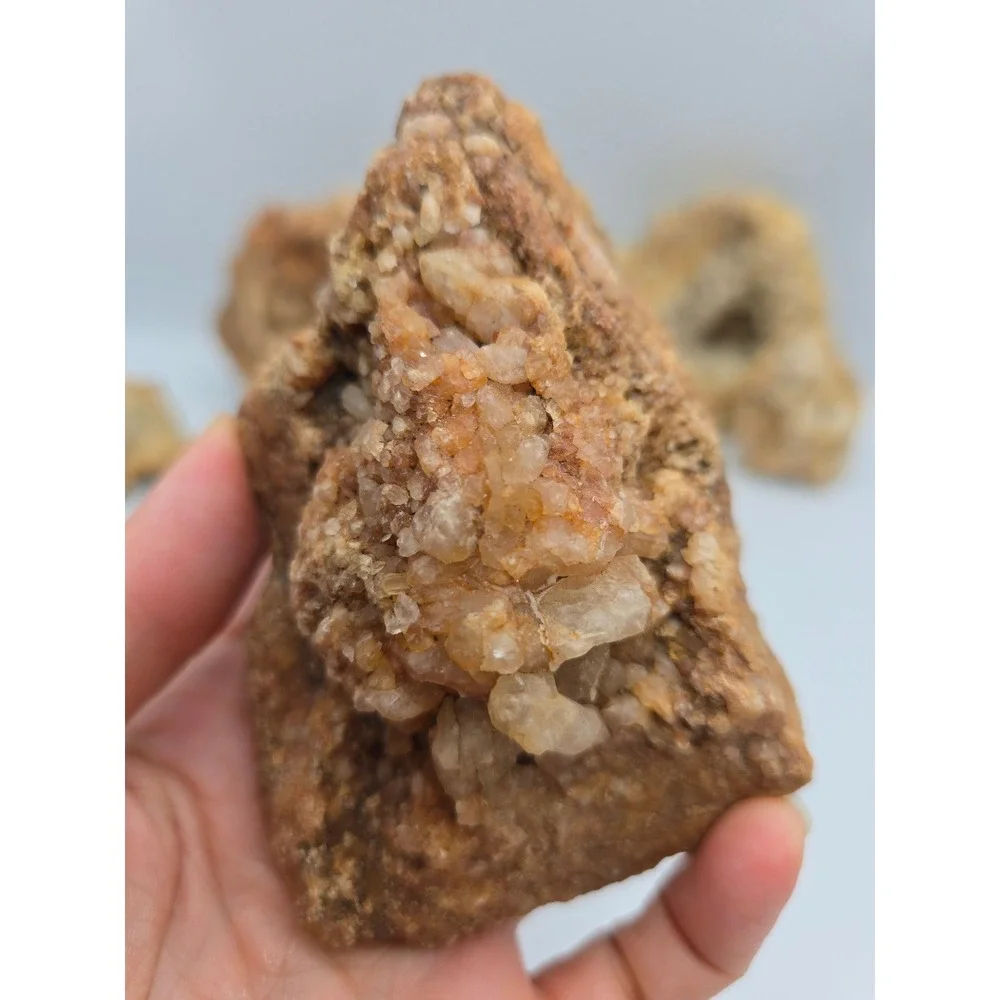 Natural Quartz Geode Crystal Lot‎ 6pc Tan White Good Raw Mineral Specimen